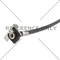 Centric Parts Brake Hose, 150.51381 150.51381 - alternate 4